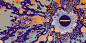 web_Voorkant_Achterkant_1000