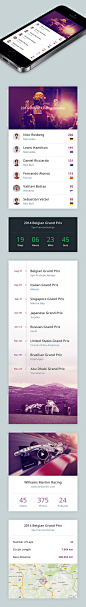 F1 App : I've always wanted to design something F1 related. Here is a simple concept for a mobile app.