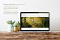 Responsive Website — Alternatives Counseling on Behance