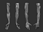 arm anatomy, naughty pixel : 3d arm sculpture