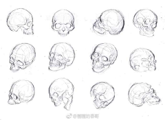 离早采集到头部结构