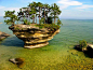 Turnip Rock, Michigan, USA

Image Credit : Joe Petrucci

Milky way scientists