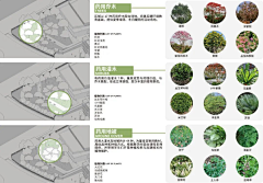 陈家~~二盈采集到植物理论 