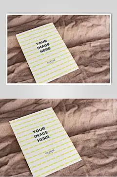 大气学生简洁卡片名片样机