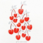 色彩缤纷的水果~ <br/>ins：calliandco ​（转）via @ins插画 ​ ​​​​