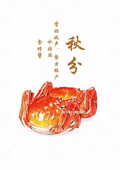 GIN_银猫先生采集到24节气食物