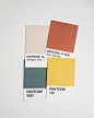 color palette / ria suarez studio