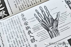 奴十八采集到平面设计