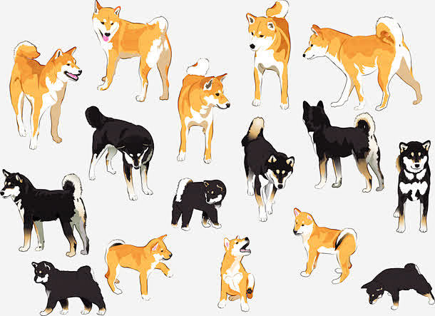 16款彩绘日本四国犬和柴犬矢量_新图网 ...