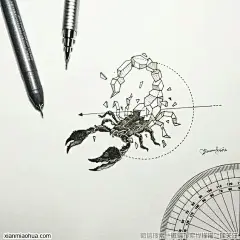 蝎子