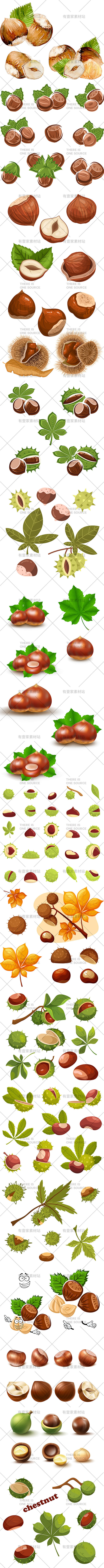 手绘野生坚果板栗干果果肉果核带壳栗子元素...