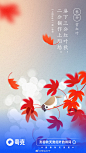 极简风格！16张夸克的营销海报