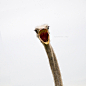 animal-wildlife-photography-marina-cano-15