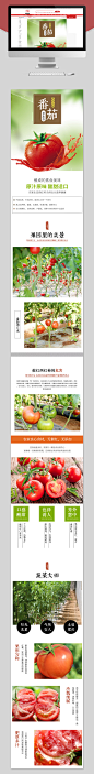 水果生鲜番茄西红柿详情页模板PSD