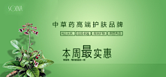 张效宸采集到平面/banner