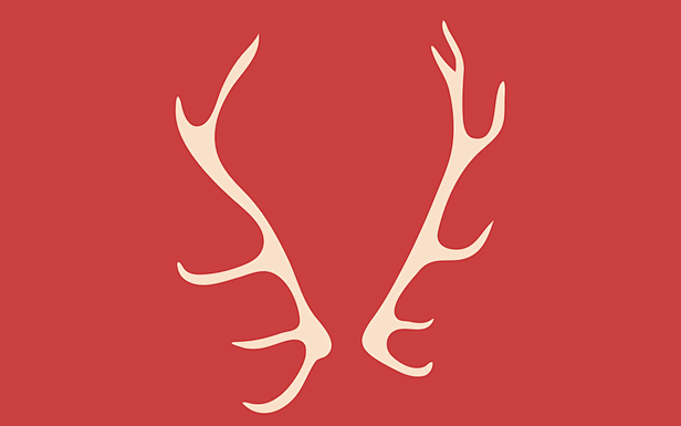 Antlers by Olive — S...