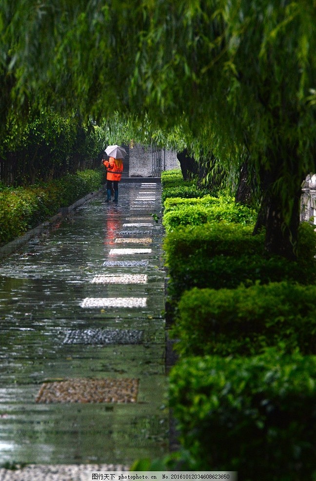 景区保洁 旅游 风景 清洁工 柳树 绿色...