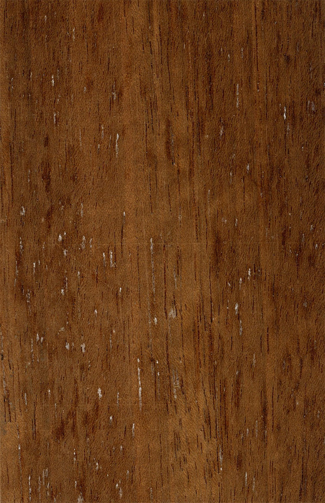 高档枫木纹贴图