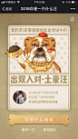 腾讯公益：汪年行旺运，2018你是一只什么汪——土豪汪  #沙皮#