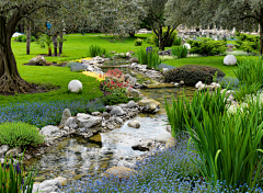 耶博小可爱biu~采集到Landscape丨雨水花园、海绵城市