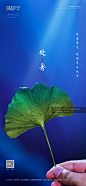 处暑海报