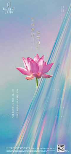 兔子怎么啦采集到节气