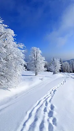纯福利：雪，唯美诗句+高清壁纸！100对！与君共赏！-今日头条