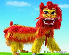 ZYdana采集到鸡