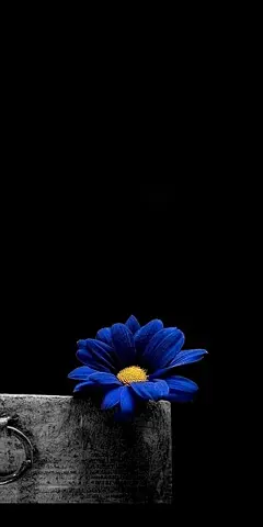 适合作手机壁纸-今日头条