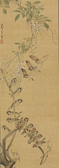 Nagasawa Rosetsu, Sparrows Alighting on Wisteria, ca. 1795-99, Japan. Hanging scroll; ink and color on silk: 