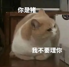 可可爱爱表情包｜我发现我最喜欢你啦_08