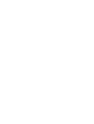 51出游季