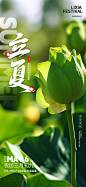 立夏节气海报-源文件