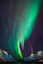 Northern Lights (by Ronel Reyes)