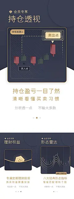 海报 app 理财 持仓 盈亏 透视 会员 专享 权益 雷达 系列