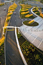 Port of Portland Headquarters | Portland, OR | Mayer Reed Landscape Architecture | Dennis' 7 Dees Landscape Contractor | "The landscaping was designed to help treat rainwater and reduce the amount of heat emitted by the building. In order to comply w