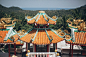 免费 树木附近的三个宝塔庙 素材图片