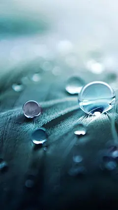 高清壁纸：灵动的光泽，迎合你的眼欲，唯美摄影壁纸