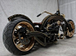 Barro Harley with ‘steampunkish’ looks