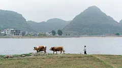 高清壁纸 (452)