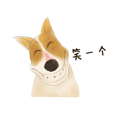 笑一个单身狗宽宽表情包