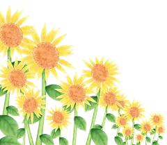 可爱卡通手绘向日葵太阳花花朵花卉素材元素