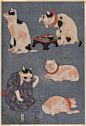 浮世绘大师歌川国芳笔下的猫。 ​​​​