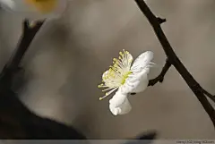 人生的终点，不是物质的终点，而是心灵的终点。也就是说，即使我们可以坐拥天下富贵，但心灵不快乐，依旧一无所得。千里万里走过，万千春色赏遍，只是脚步太匆匆。若这样，人生无论走多久，无论走多远，都不如刹那驻足，看一朵花的盛开，看一朵云的飘走。尽管是刹那，但驻足，还是给了心灵足够的时间。有时候，心灵需要的时间真的不多，当你慢下来，你的世界会为你蓬勃起来，是的，无论你的身体，还是你的心灵...你该懂得的。