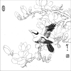 ゜Spallation、采集到白描