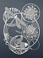 Pippa Dyrlaga的细腻派剪纸艺术 来自狮鸢LionGlede - 微博