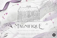 Magnifique Collection⎪薰衣草花卉银框手绘插画