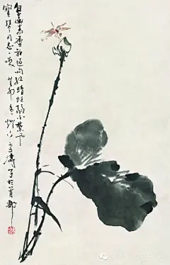 清新秀丽情趣盎然：王雪涛写意荷花作品