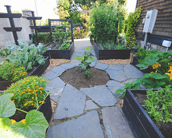 gardendesignideasrenovationsphotoswithwithavegetablepatch