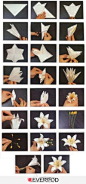 DIY折纸玫瑰，装饰你的小家。…_来自颜络笙的图片分享-堆糖网